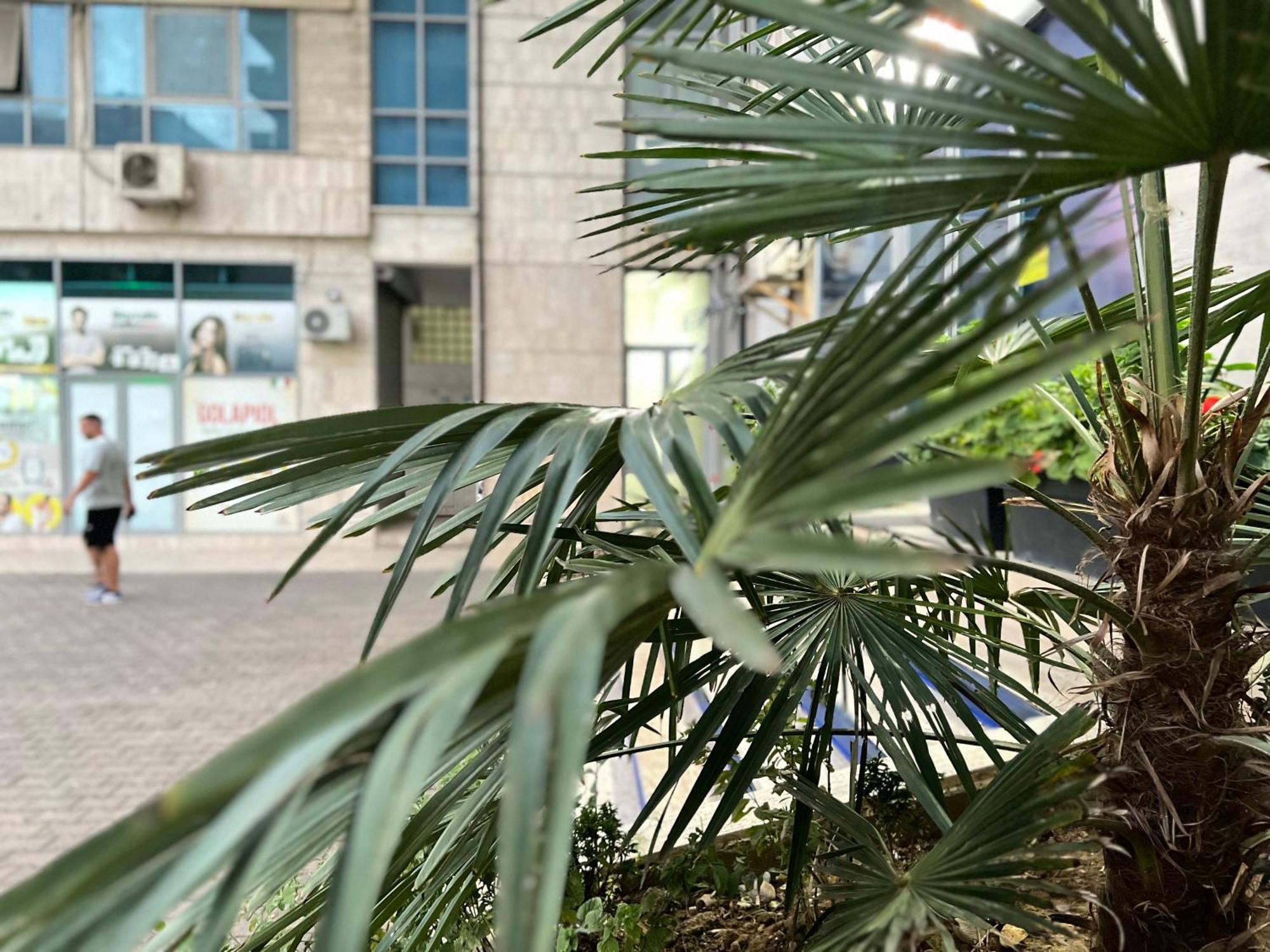 New Baazar Terrace Apartment Tirana Buitenkant foto